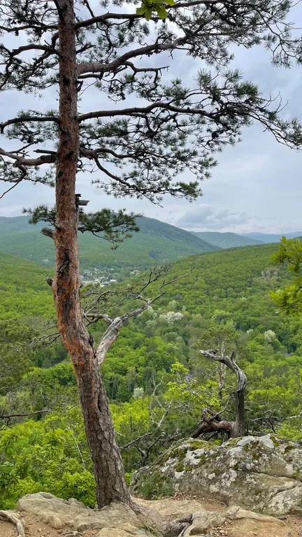 Коттедж Аутентичный барнхаус в 60 минутах от Краснодара, с видом на горы — Северская