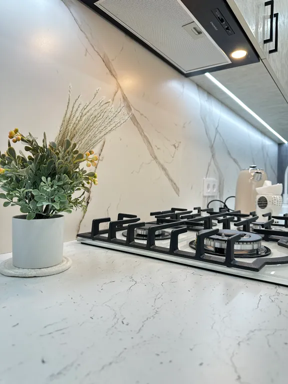 Гусь, так гусь 5