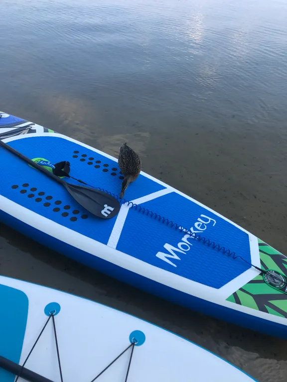 Коттедж Уютный дом с камином и сауной у озера — Ларионово