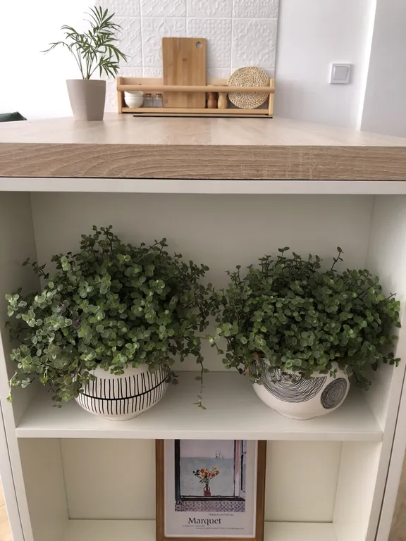 Квартира Квартира Эстетичная студия у моря — 15 минут пешком до пляжа — Адлер