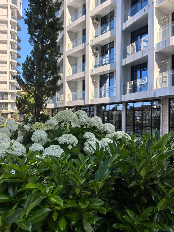 Апартаменты с видом на море от собственника в Ольгинке