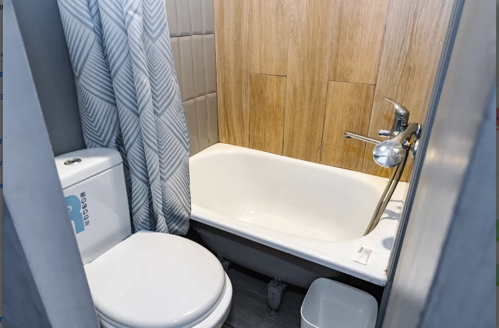 Студия "Альпы" в центре города