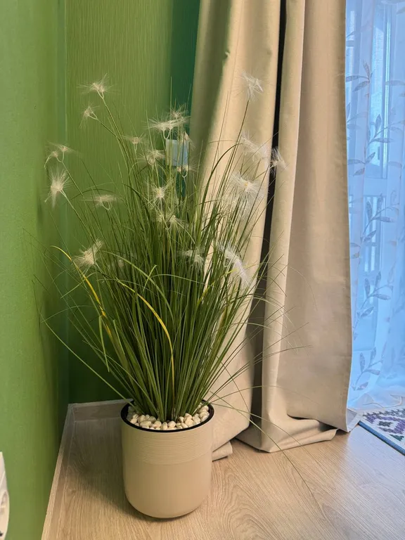 Уютные однокомнатные апартаменты