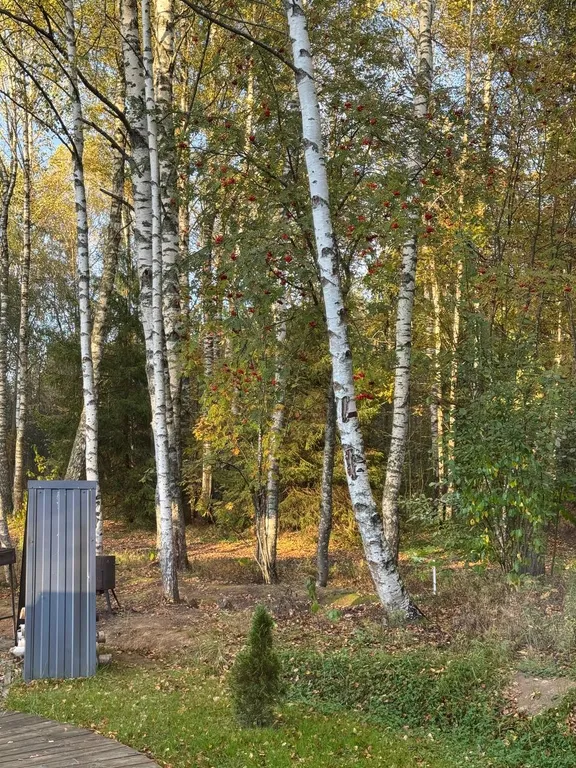 Уютный дом в лесном массиве недалеко от реки