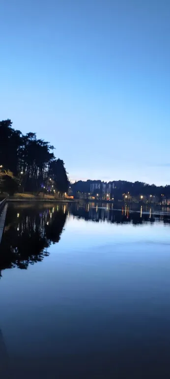 Квартира Уютная новая квартира у озера — Светлогорск