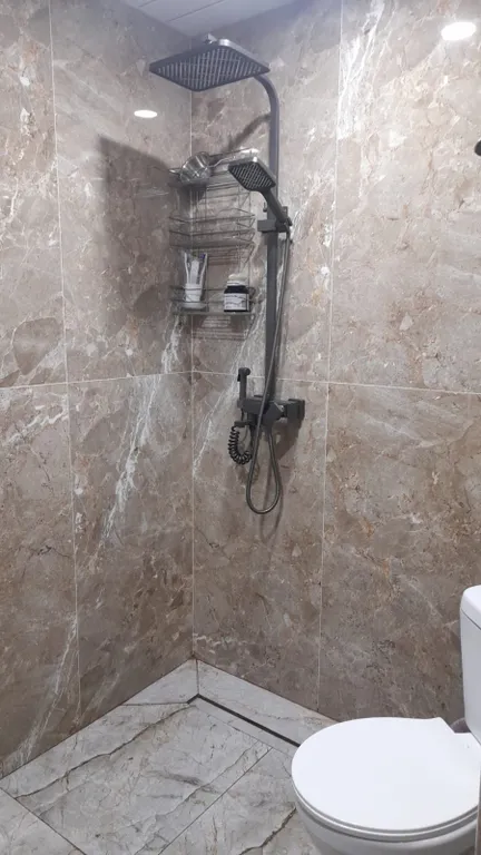 Уютная квартира Анушик