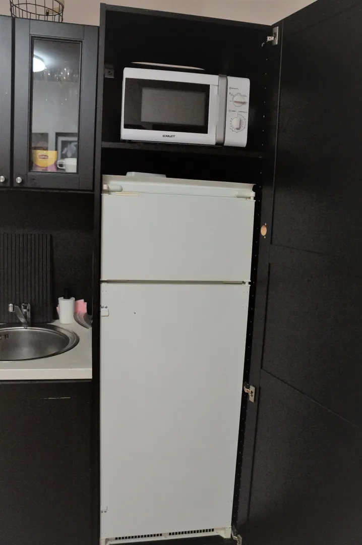Двухкамерный холодильник и микроволновая печь