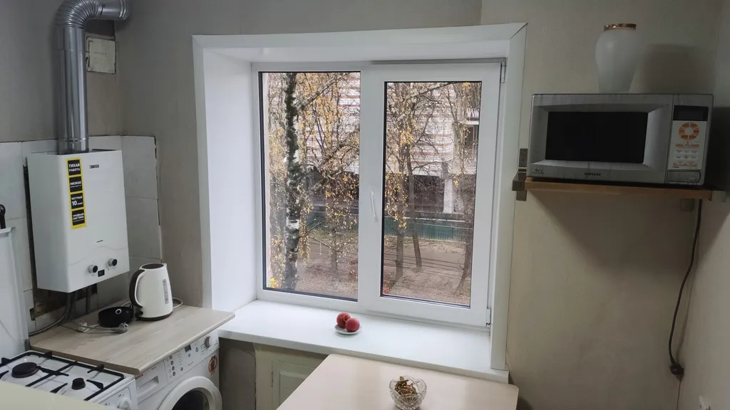 С Толстым у парка