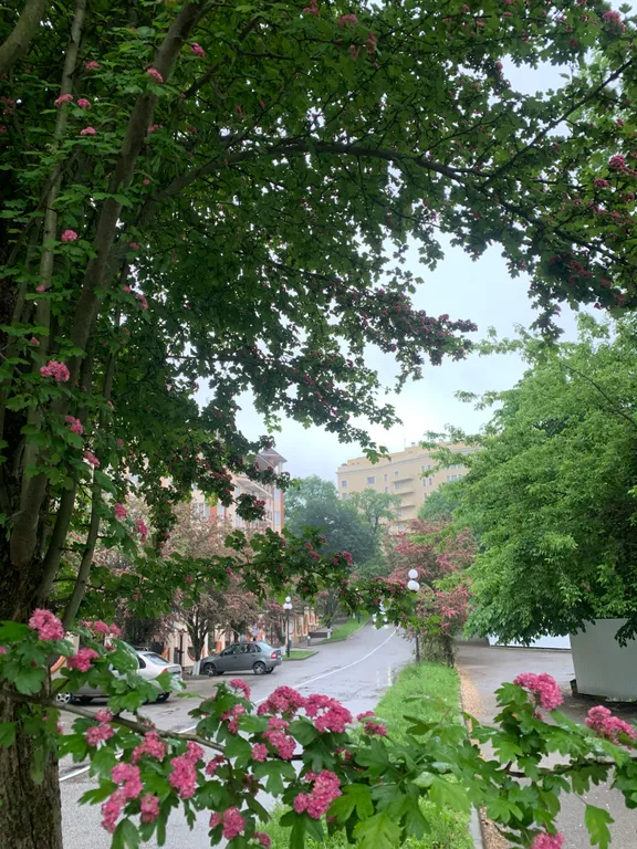 Квартира в курортной лесной зоне