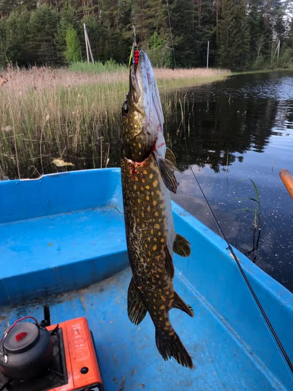 Коттедж Дом с баней на берегу Селигера — Заборки