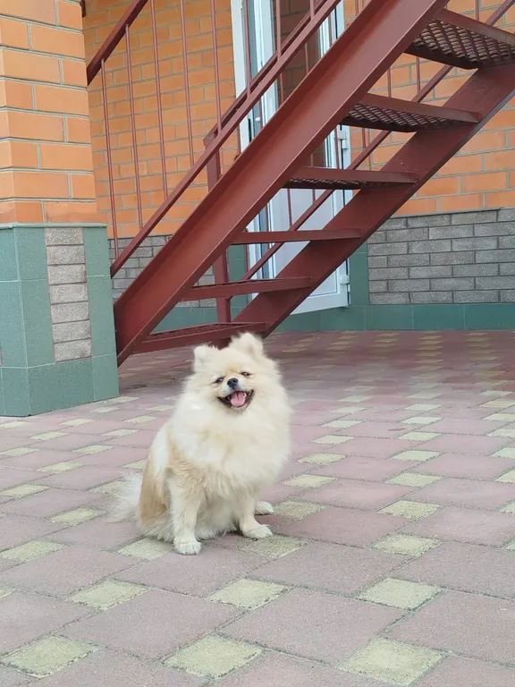 Квартира Удобная комната вблизи моря — Ейск