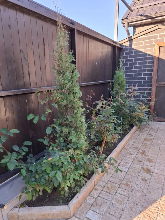 Семейный дом на берегу моря