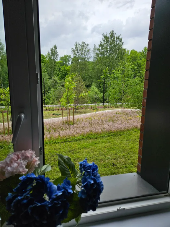 Апартамент Карельская сказка у речки в центре города