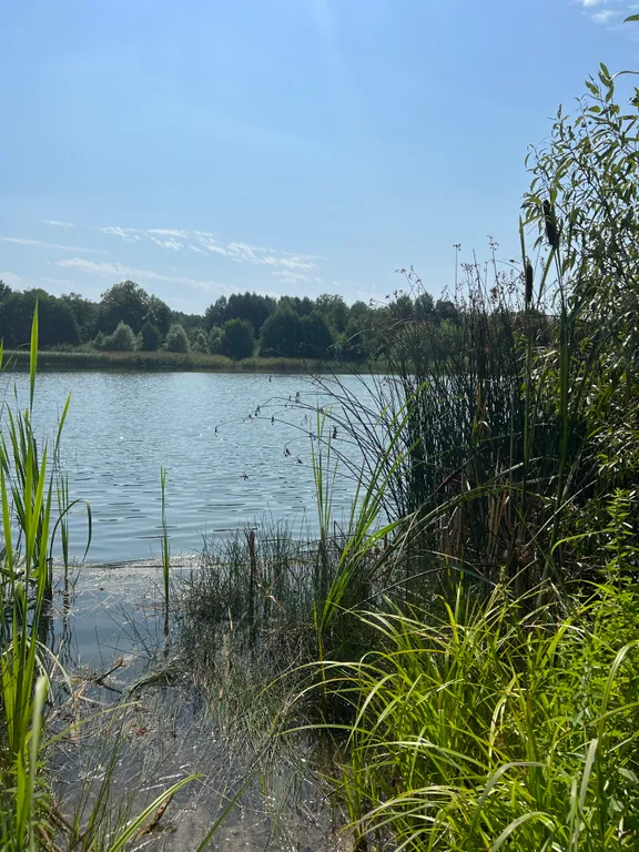 Гостевой Дом 14 в Беловежской пуще на территории Национального парка