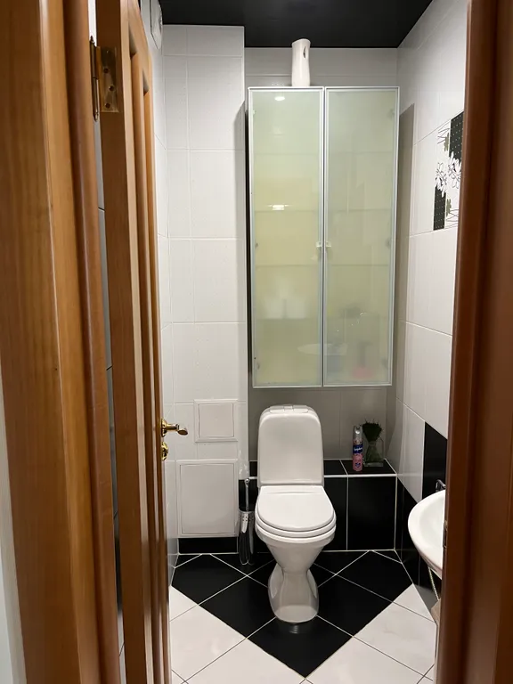 Просторная современная квартира в центре города