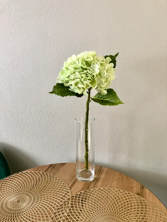 Стильная студия для двоих