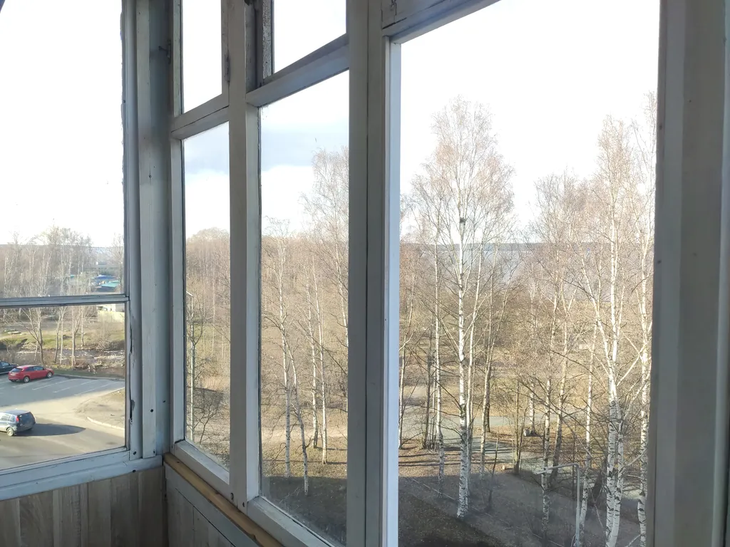 Уютное гнёздышко у озера