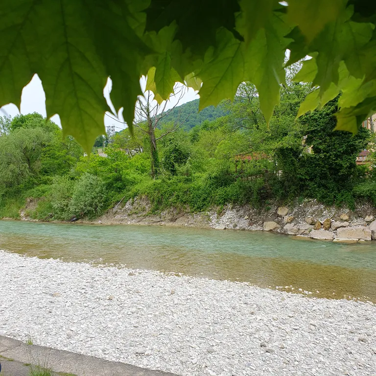 Номер с видом на реку