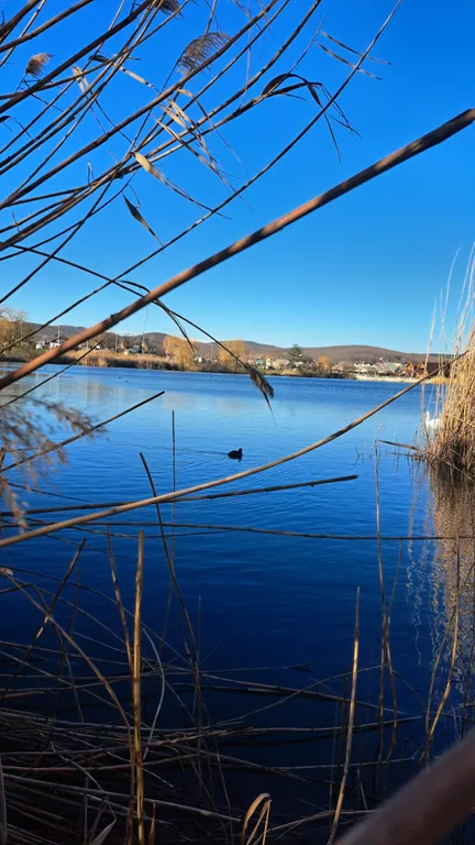 Квартира Уютная квартира в ЖК Комфорт города-курорта — Горячий Ключ