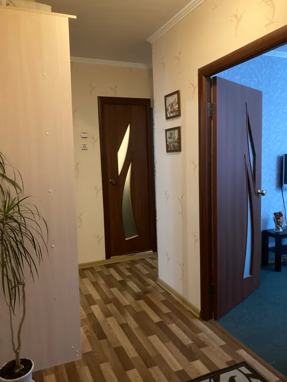 Квартира в курортной зоне в центре у радоновой лечебницы