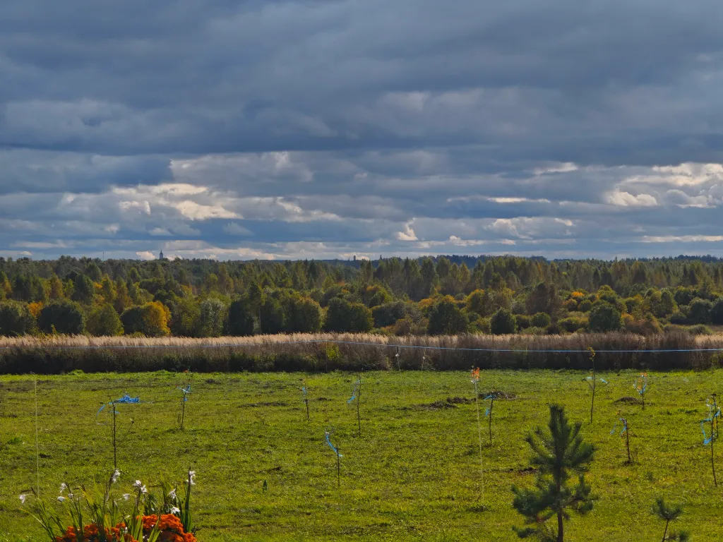 Загородный дом близ Суздаля Загородное пространство
