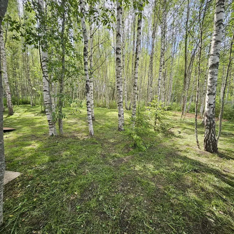 Коттедж Коттедж В гостях у леса 2 — Шаховская