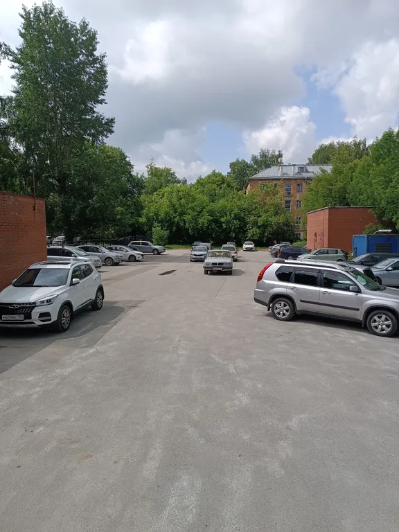 Уютная студия у зоопарка и дендропарка