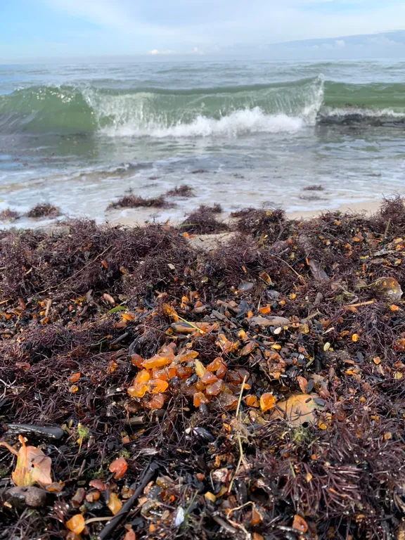 Апартаменты у острова канта