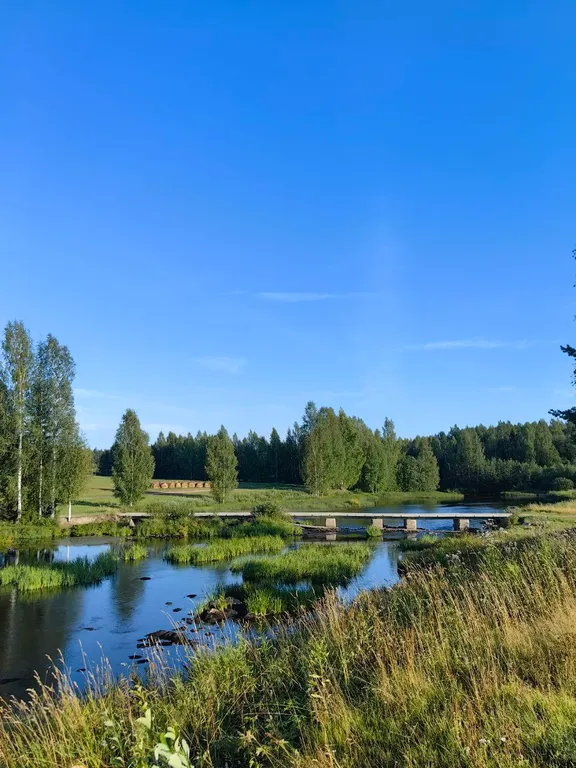 Дом из сруба у воды