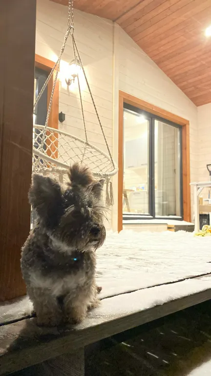 Дом с камином