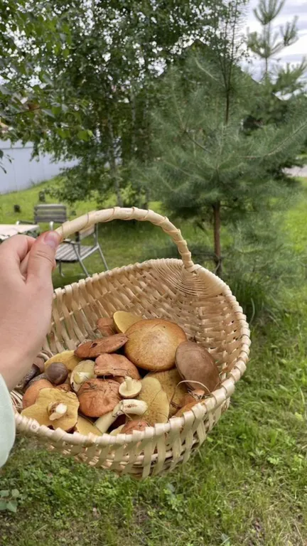 Домик на берегу Оки на территории сельской усадьбы Варежка