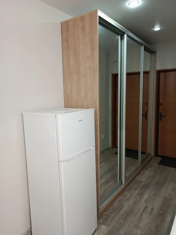 Уютная студия в Спутнике