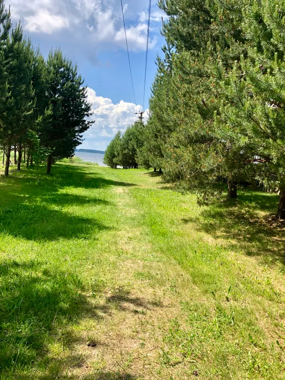 Коттедж Комфорт