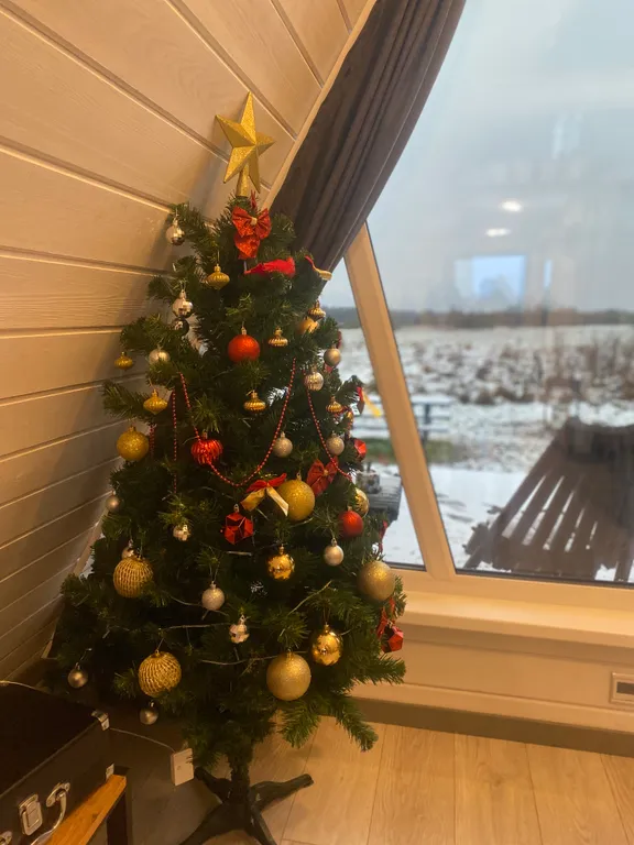 Треугольный дом