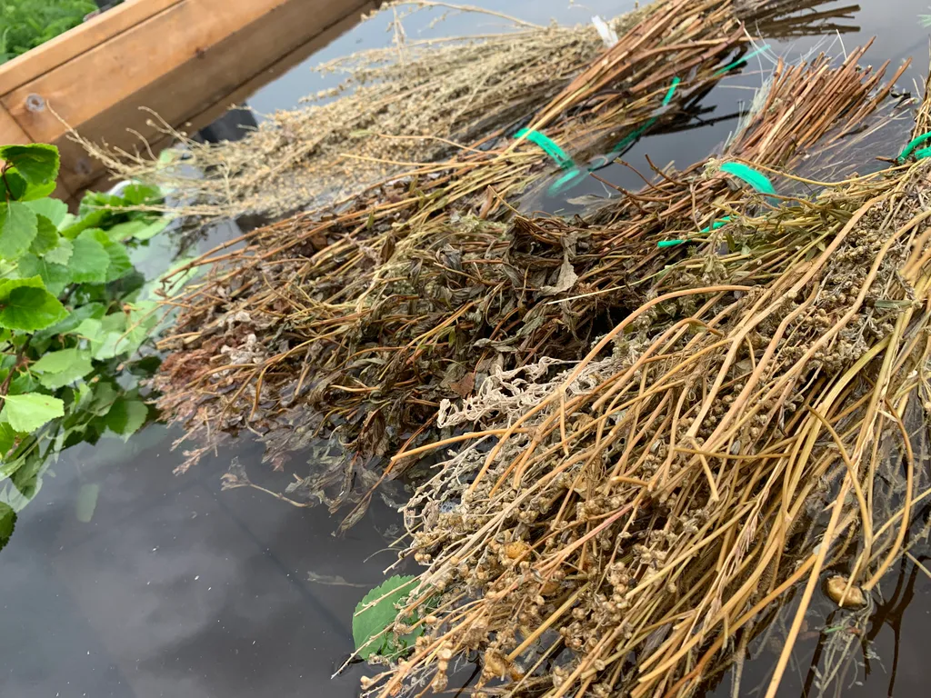 Дом до 4-х человек