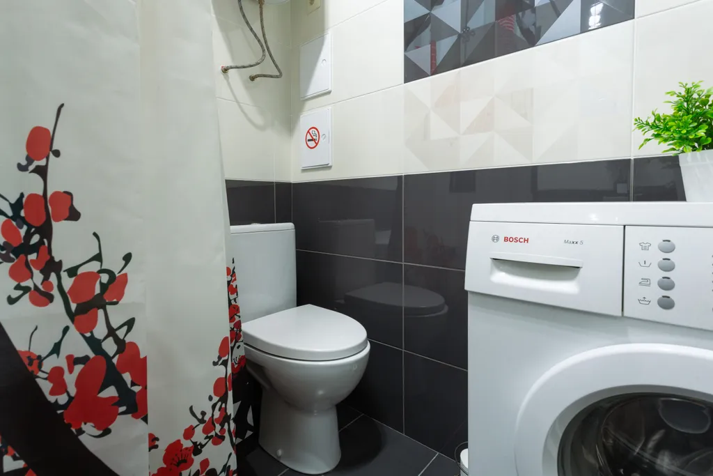 Тень сакуры