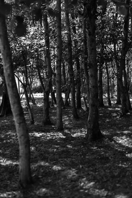 Коттедж 1-комнатный Дом — Сухум