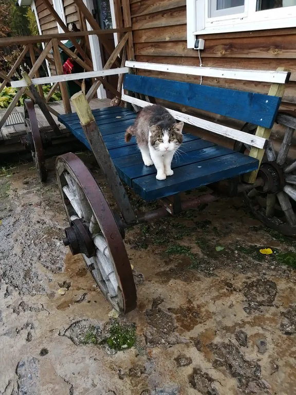 Просторный дом в центре заповедника