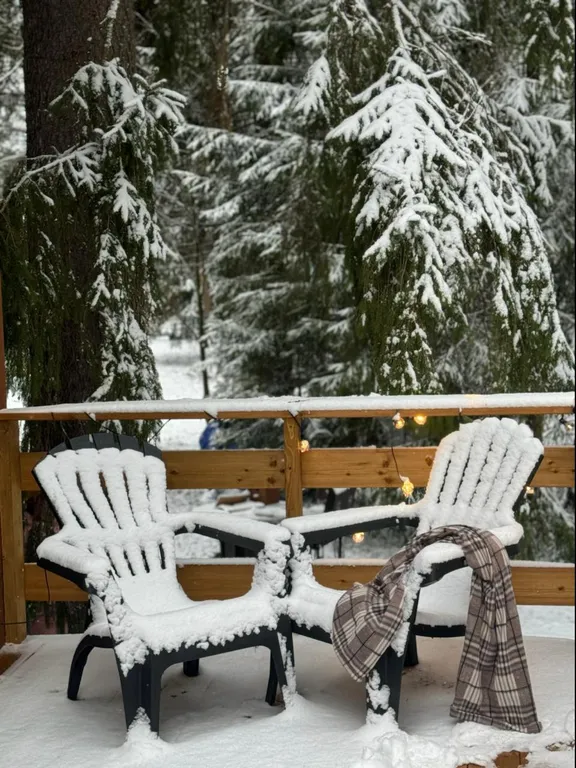 Дом с чаном и сауной в лесу
