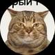 Владимир