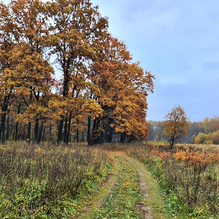 Дом на семи прудах