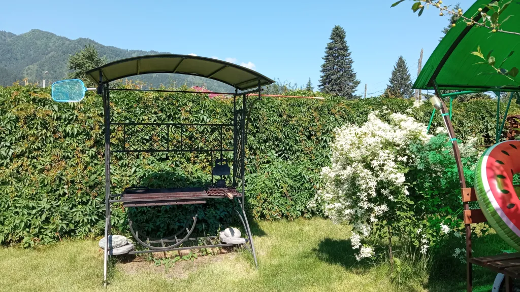 Зелёный дом