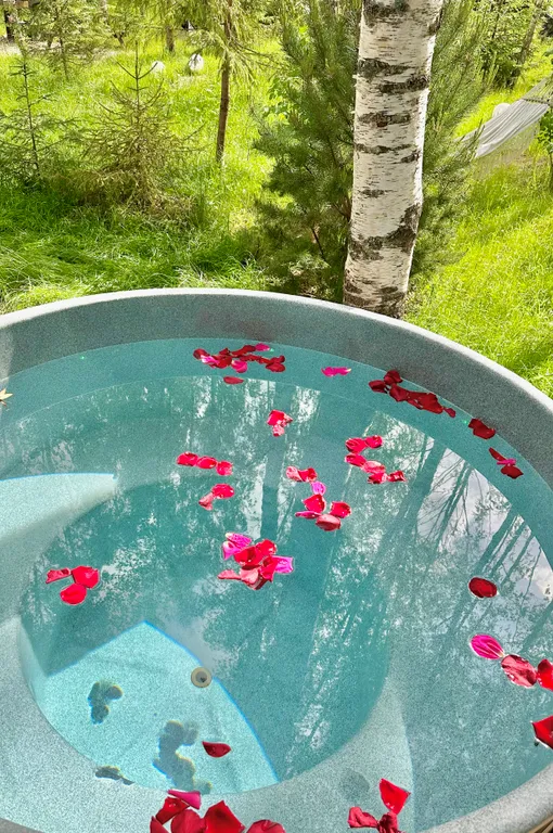 Дом с панорамной сауной, купелью на закрытом лесном участке