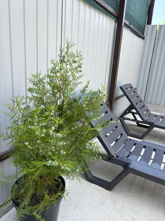 Апарт у моря