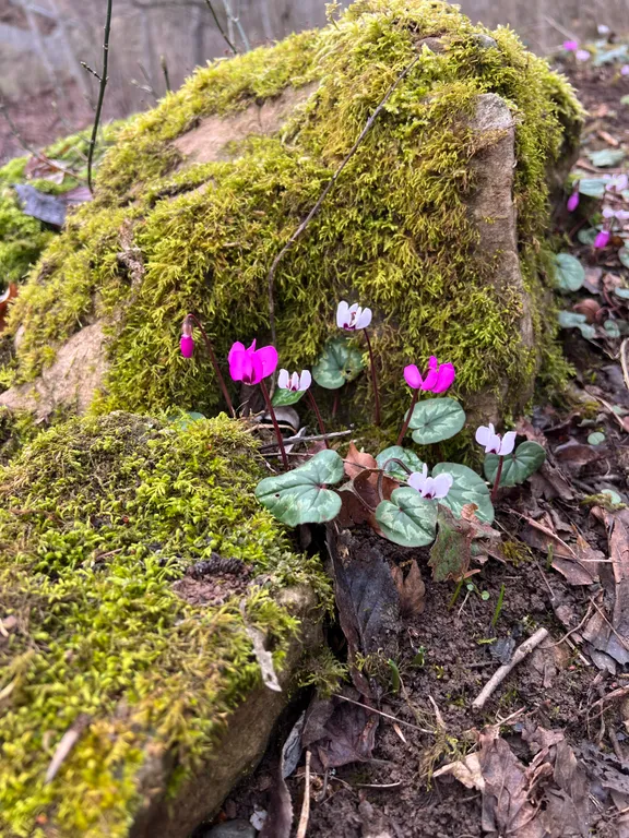 Двухкомнатный домик с видом на озеро