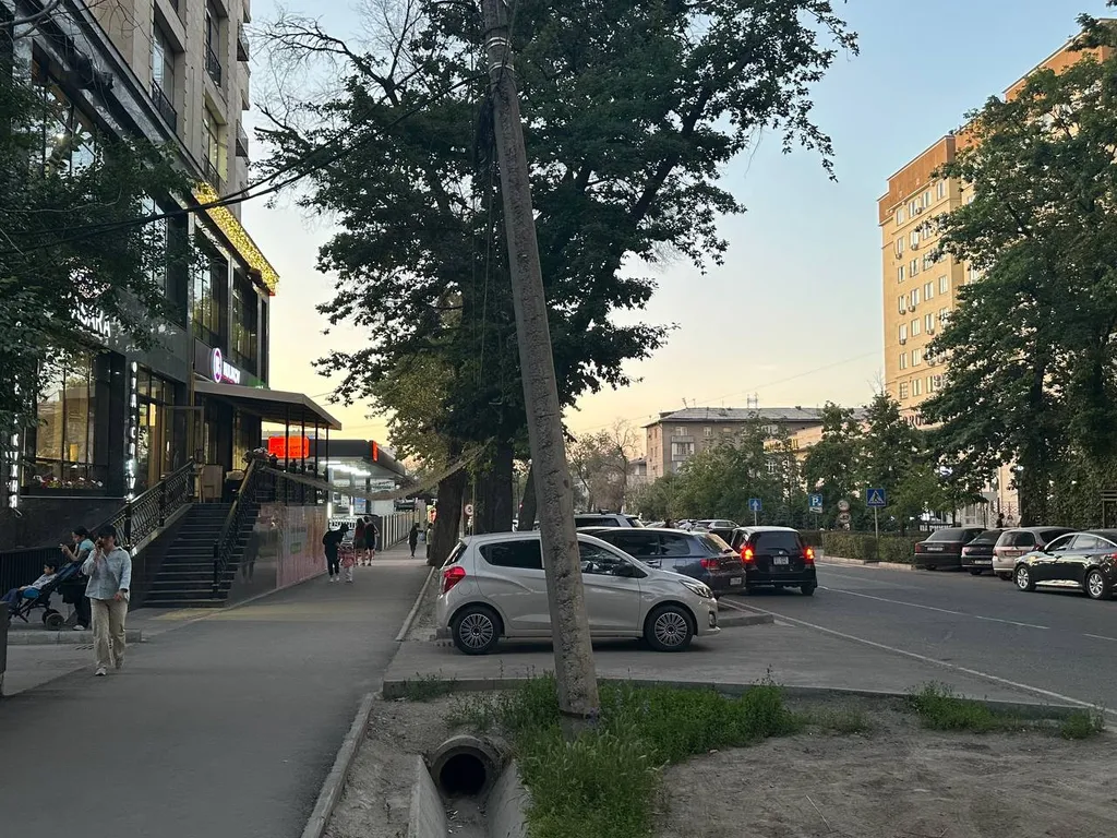 Апартаменты возле парка Панфилова