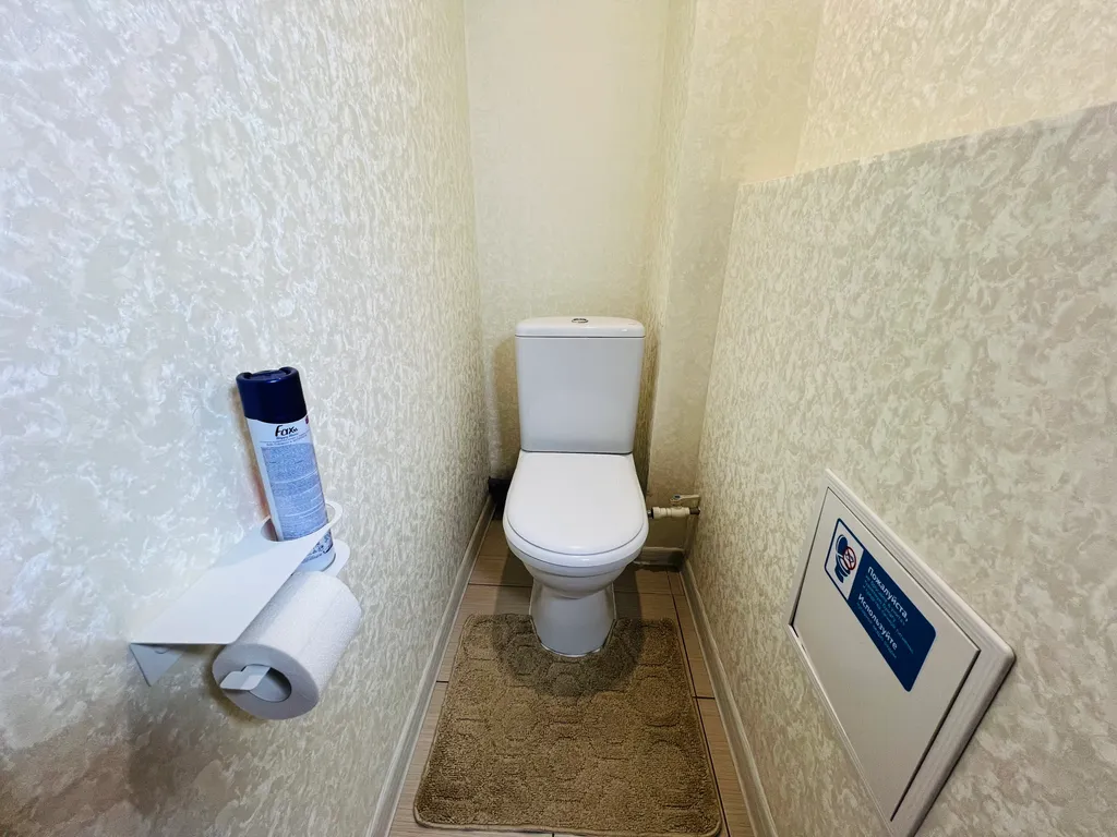 1-комнатная квартира в деловом и историческом центре города с новогодней елкой