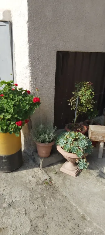 Трёхкомнатная квартира в центре города