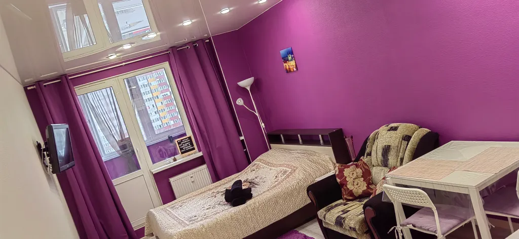 Квартира Квартира Небольшая яркая студия — Шушары