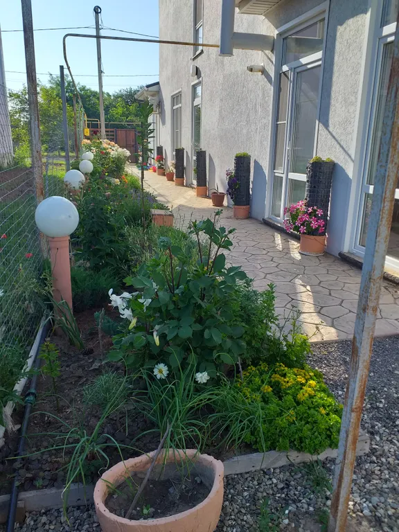 Квартира Комната с видом на сад — Кучугуры